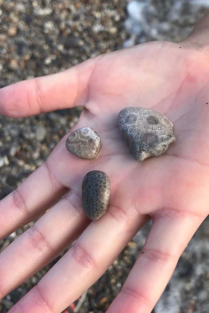 Petoskey and Charlevoix stones RV Michigan 