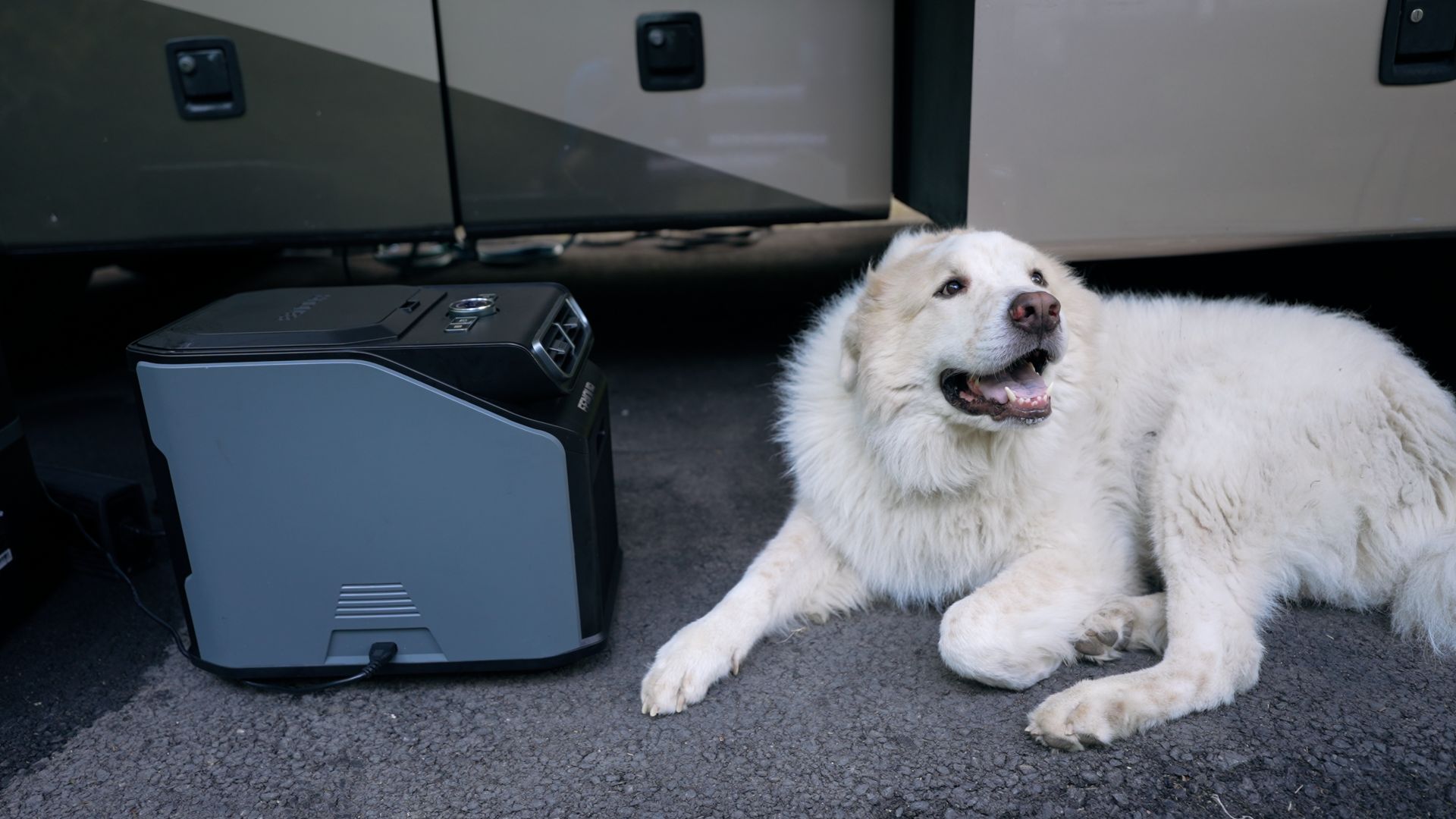eenour portable power station for pets